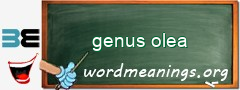 WordMeaning blackboard for genus olea